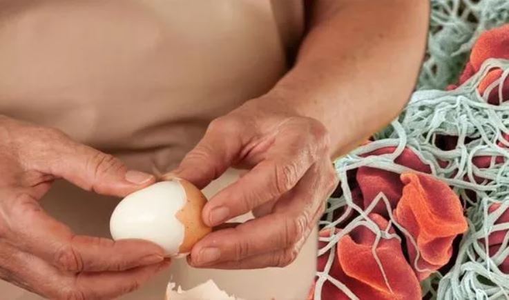 Món ăn sáng phổ biến có thể làm tăng nguy cơ đông máu