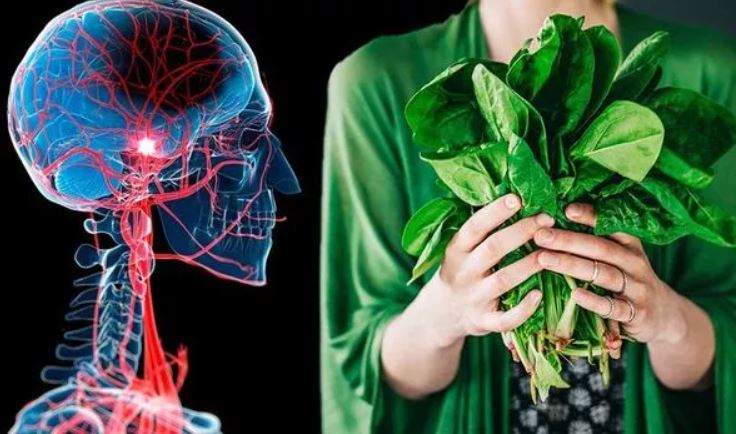 Rau bina có khả năng làm giảm nguy cơ đột quỵ