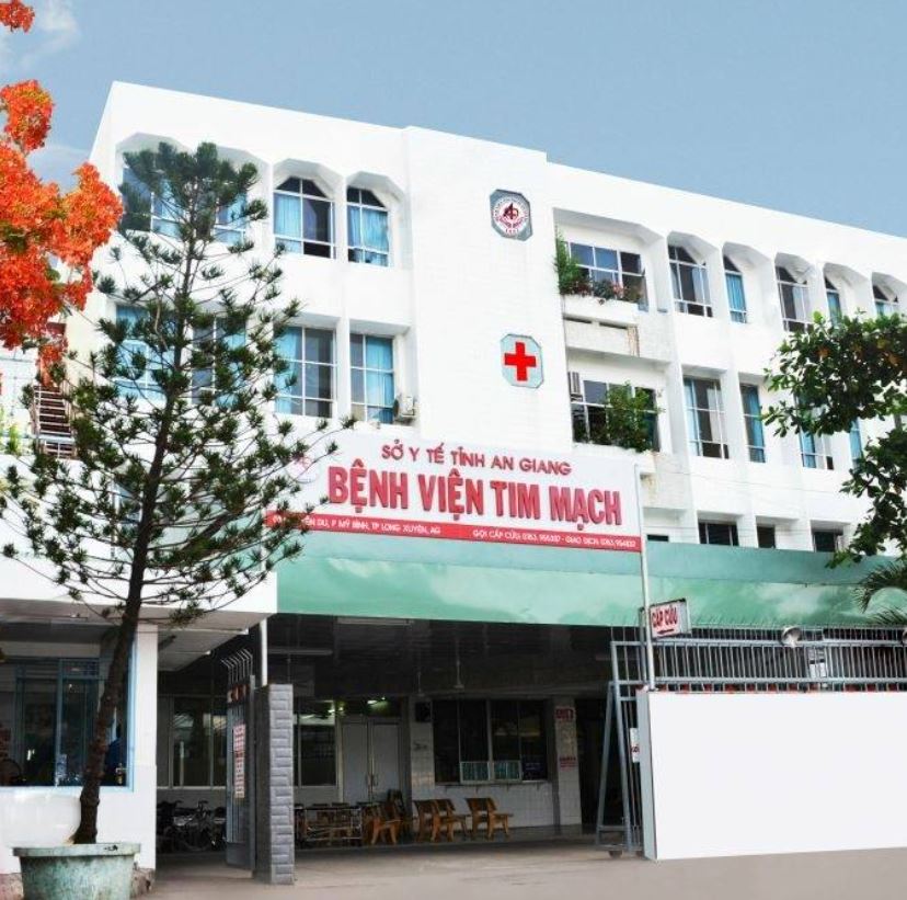 Những bệnh viện cấp cứu đột quỵ tại An Giang?