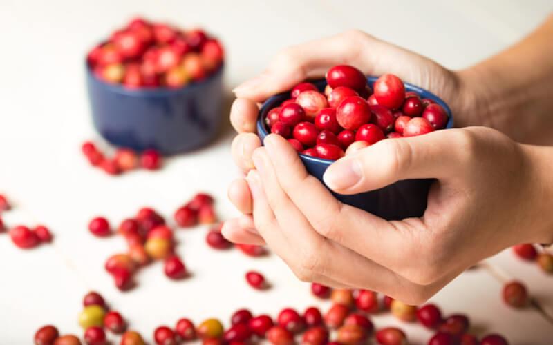 Nam việt quất có thể chống lại thiệt hại do đột quỵ