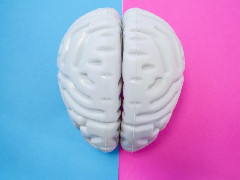 Nội tiết tố là chìa khóa tạo nên sự khác biệt về sức khỏe não bộ giữa nam và nữ