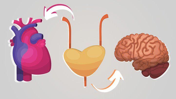 Nhiễm trùng đường tiết niệu được xác định là yếu tố gây đột quỵ