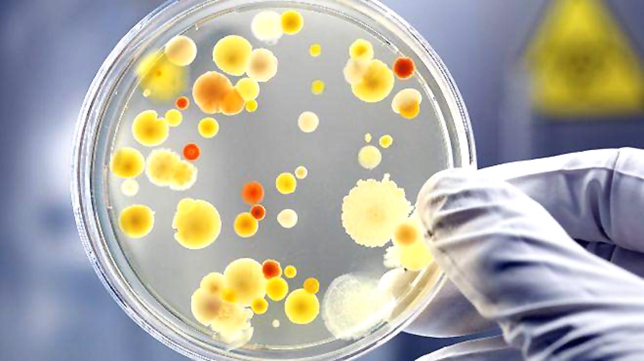 Mối liên hệ được tìm thấy giữa vi khuẩn đường ruột và đột quỵ