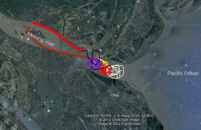 Kỹ thuật double catheter được BS Trần Chí Cường ví von với việc đắp đập chặn dòng chảy sông Mekong