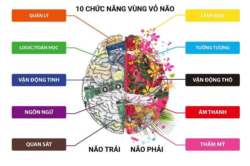 Đột quỵ bán cầu não phải và những điều cần biết