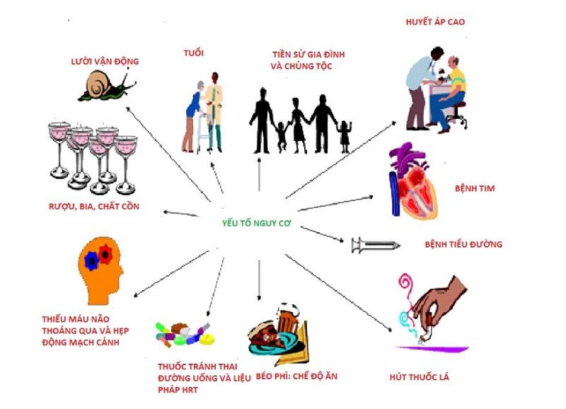 Các yếu tố nguy cơ hàng đầu làm tăng khả năng đột quỵ não