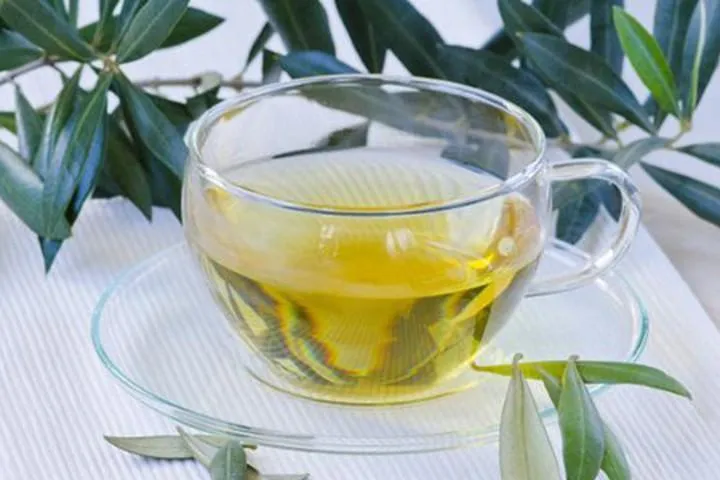 Trà ô liu hạ huyết áp