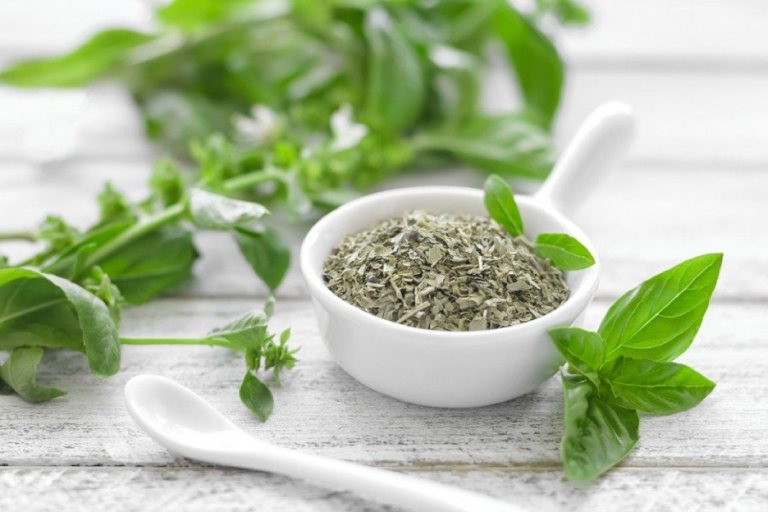 Húng quế giúp giảm các yếu tố nguy cơ gây bệnh tim và đột quỵ
