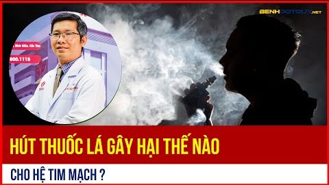 Hút thuốc lá gây hại thế nào cho hệ tim mạch?