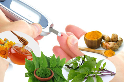 Lá húng quế giúp làm tăng mức insulin. Ngăn ngừa các biến chứng tim mạch ở bệnh nhân tiểu đường và làm giảm mức độ glucose.