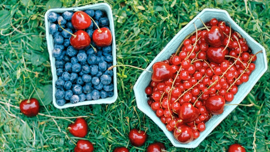 Trái cây và rau quả màu đỏ, tím và xanh dương thường có lượng anthocyanins cao nhất.