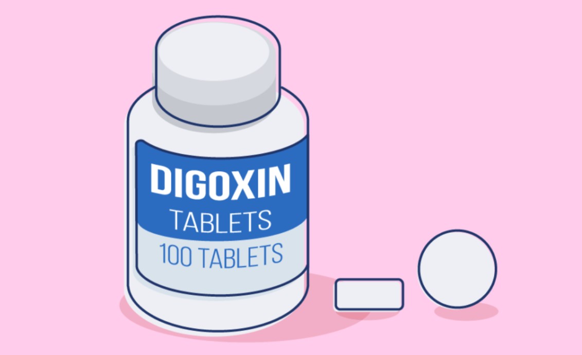 Digoxin là glycosid trợ tim, thu được từ lá Digitalis lanata.