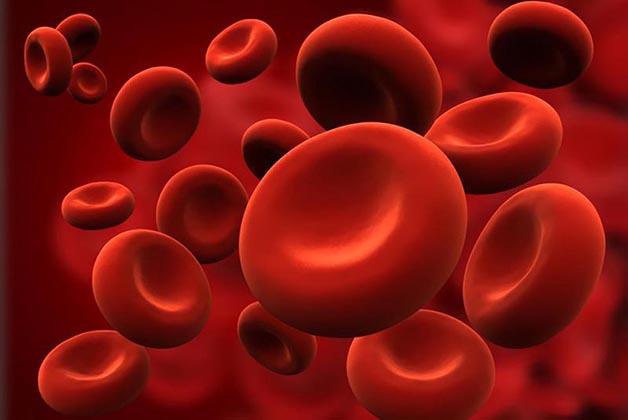 Siêu âm Doppler xuyên sọ được sử dụng để chẩn đoán hoặc theo dõi một loạt các tình trạng y tế ảnh hưởng đến lưu lượng máu.