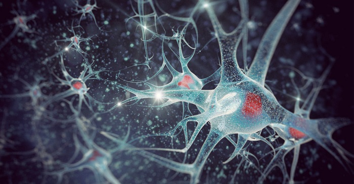 Neuroplasticity là khả năng thích ứng của bộ não sau những trải nghiệm và biến cố.