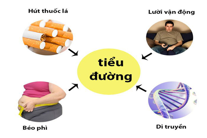 Hút thuốc lá, thừa cân, ít vận động, tăng huyết áp, tăng lipid máu là những yếu tố nguy cơ của bệnh đái tháo đường.