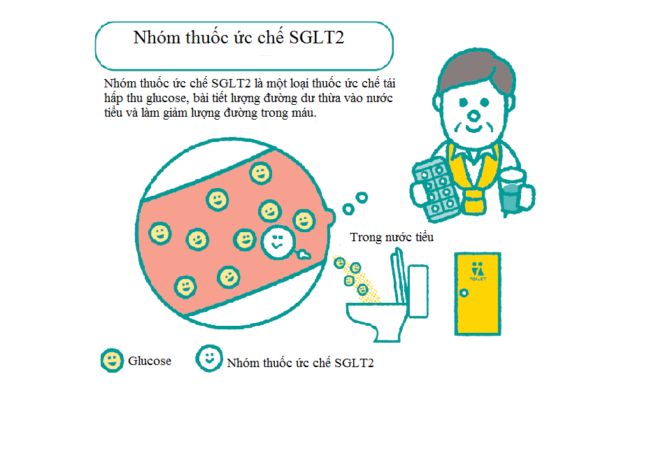 Bạn biết gì về thuốc ức chế SGLT2?
