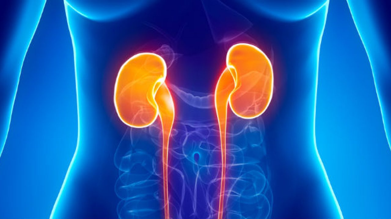 Việc sử dụng thuốc ức chế miễn dịch có thể gây tổn thương thận nghiêm trọng và các vấn đề khác.