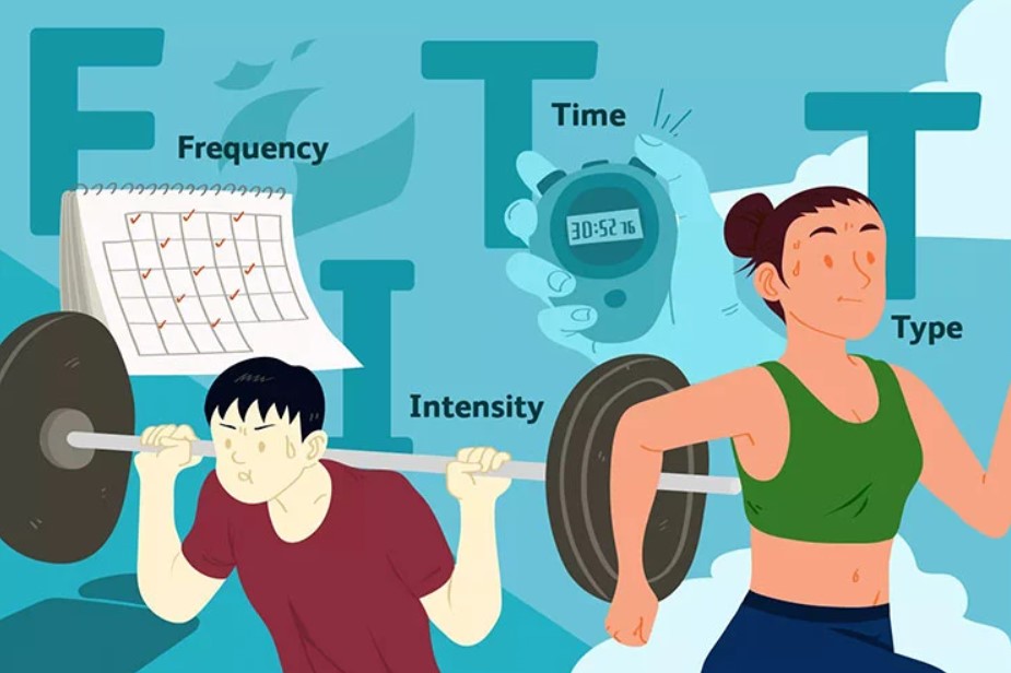 Quy tắc F.I.T.T là gì?