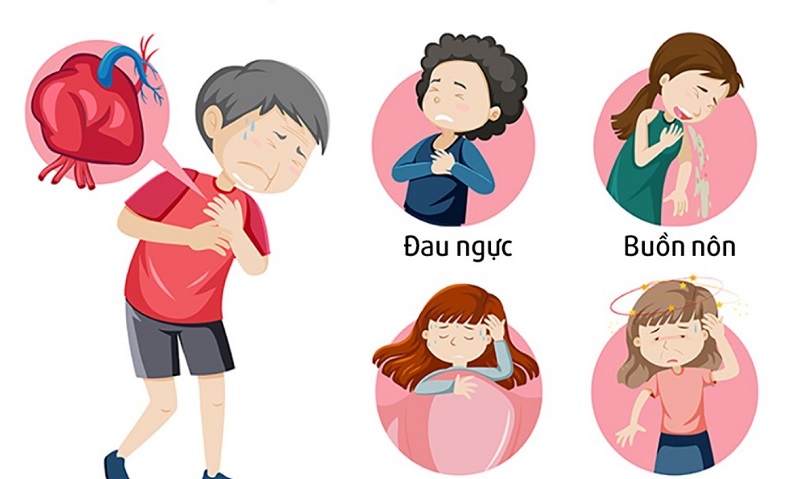 Suy tim trái gây khó thở và mệt mỏi, suy tim phải gây ứ trệ tuần hoàn ngoại biên