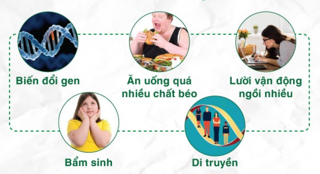 Béo phì do những nguyên nhân nào?