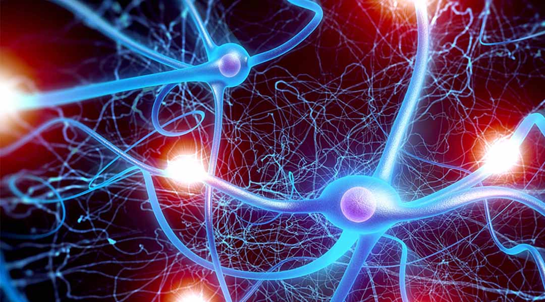 Bệnh tiểu đường là nguyên nhân phổ biến gây ra rối loạn thần kinh tự chủ do lượng đường huyết tăng cao và kéo dài.