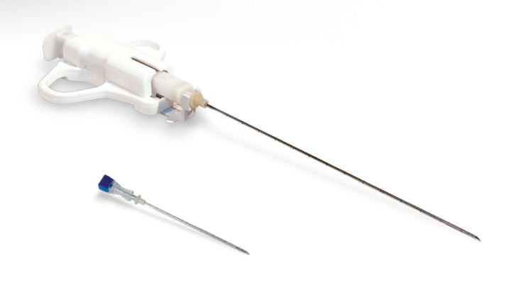 Sinh thiết não có thể phân biệt giữa viêm mạch thần kinh trung ương và các bệnh khác có thể có các đặc điểm tương tự.