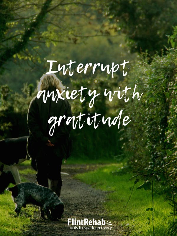 Làm gián đoạn sự lo lắng bằng lòng biết ơn