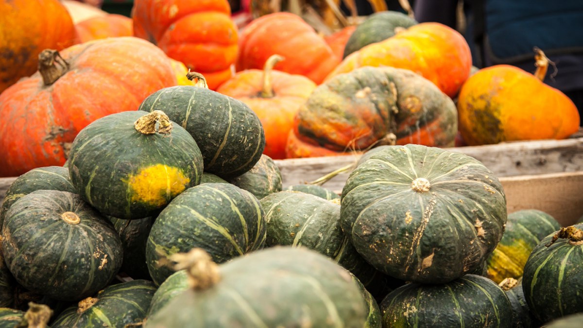 bí ngô phòng ung thư phổi