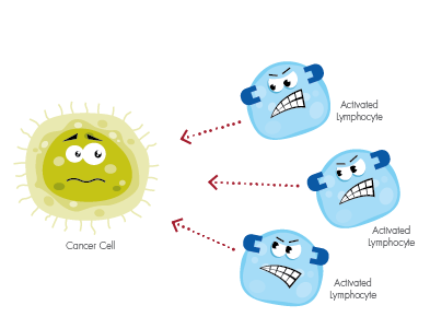 Liệu pháp miễn dịch giúp hệ thống miễn dịch của chính cơ thể chống lại bệnh ung thư.