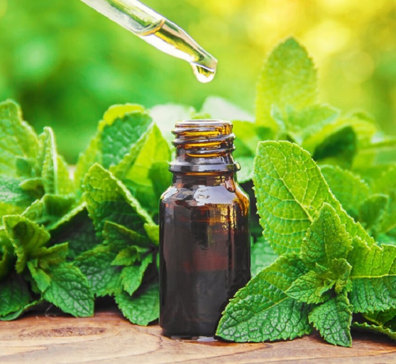 Tinh dầu bạc hà