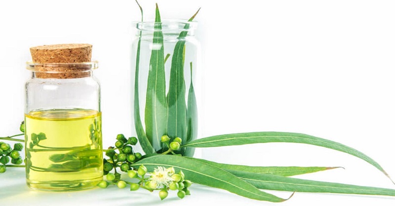 5 loại tinh dầu giúp chữa chứng đau đầu hiệu quả