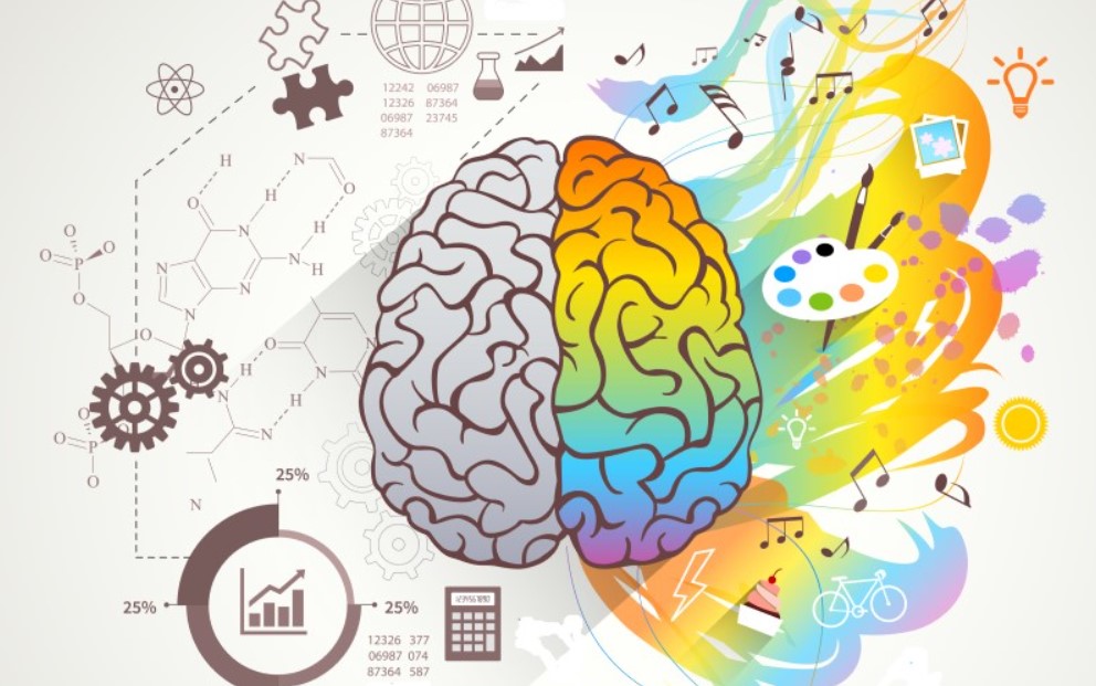 Đột quỵ bán cầu não trái sẽ ảnh hưởng đến lời nói của bệnh nhân sau đột quỵ.