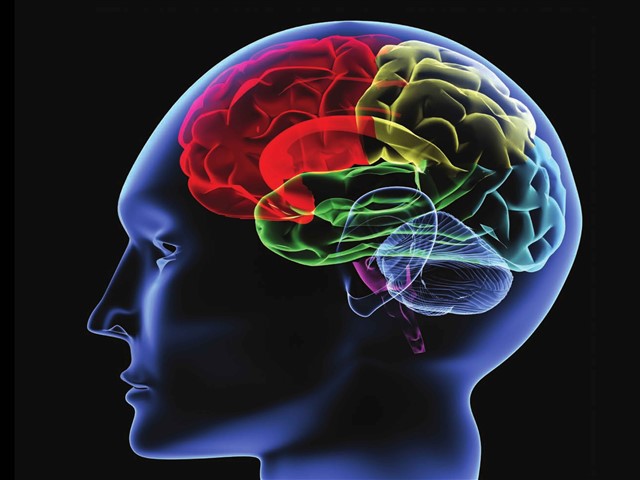 Bệnh thần kinh ngoại biên là gì và cách điều trị ra sao?