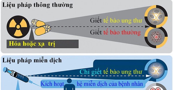 Liệu pháp miễn dịch giúp hệ thống miễn dịch xác định và nhắm mục tiêu các tế bào ung thư dễ dàng hơn.