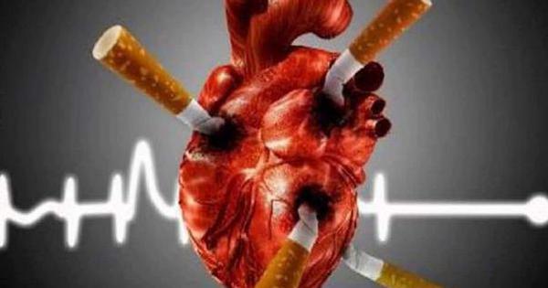 Thuốc lá ảnh hưởng tim và mạch máu như thế nào?