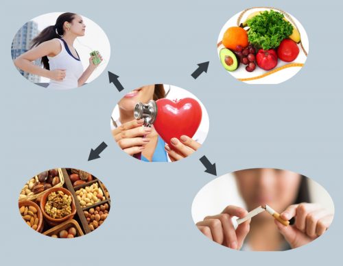 Lối sống lành mạnh giúp phòng ngừa bệnh tim mạch hiệu quả hơn