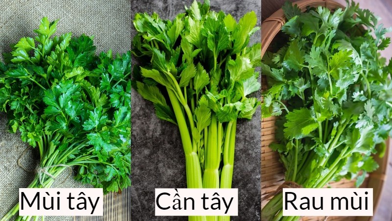 Ngò Tây – Parsley có hình dạng khá tương đồng với rau mùi của Việt Nam - hay còn gọi là ngò rí.