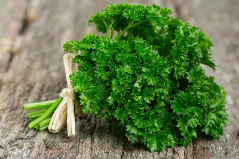12 lợi ích sức khỏe của ngò tây và lưu ý khi sử dụng