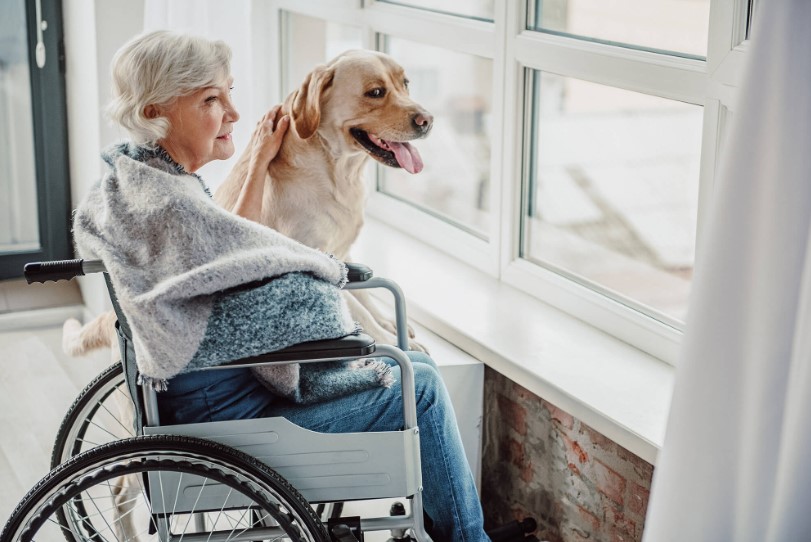 Đột quỵ khiến bệnh nhân gặp nhiều di chứng về vận động, cảm xúc,....