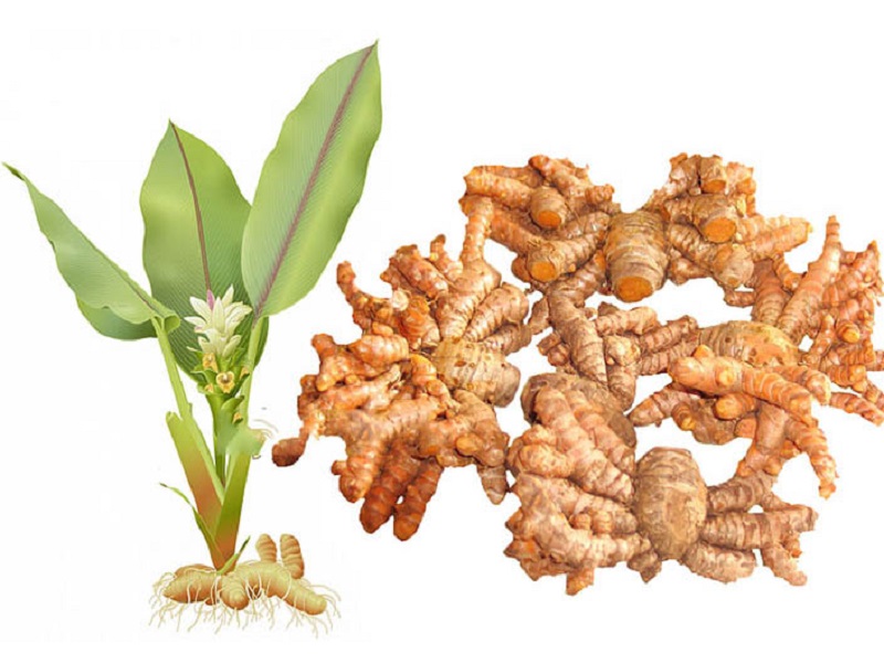 Tinh bột nghệ còn giúp điều chỉnh sự cân bằng insulin, đây nguyên nhân gây ra bệnh tiểu đường.