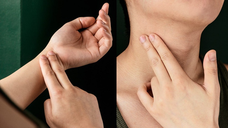 Đo nhịp tim cũng giống như kiểm tra mạch