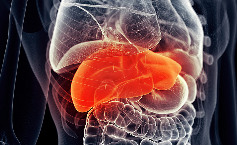 Có nhiều tình trạng với các triệu chứng giống như ung thư gan.