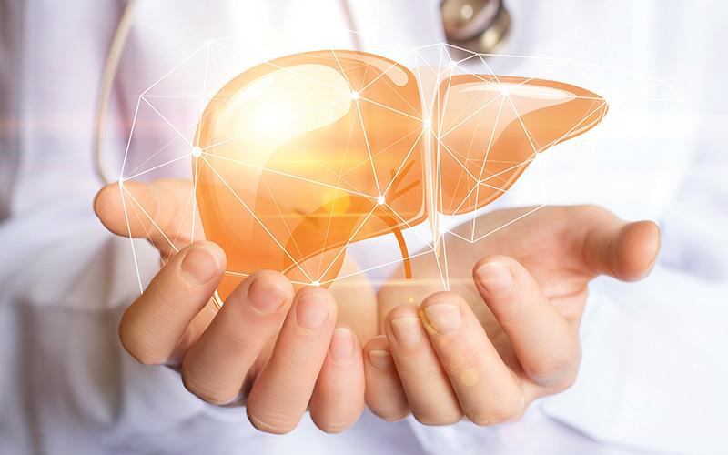 Các phương pháp điều trị phẫu thuật là cắt gan và ghép gan.