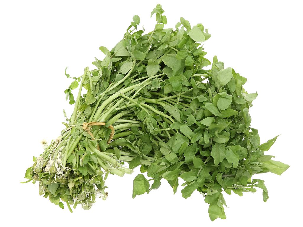 Cải xoong rất tốt cho người bị ung thư