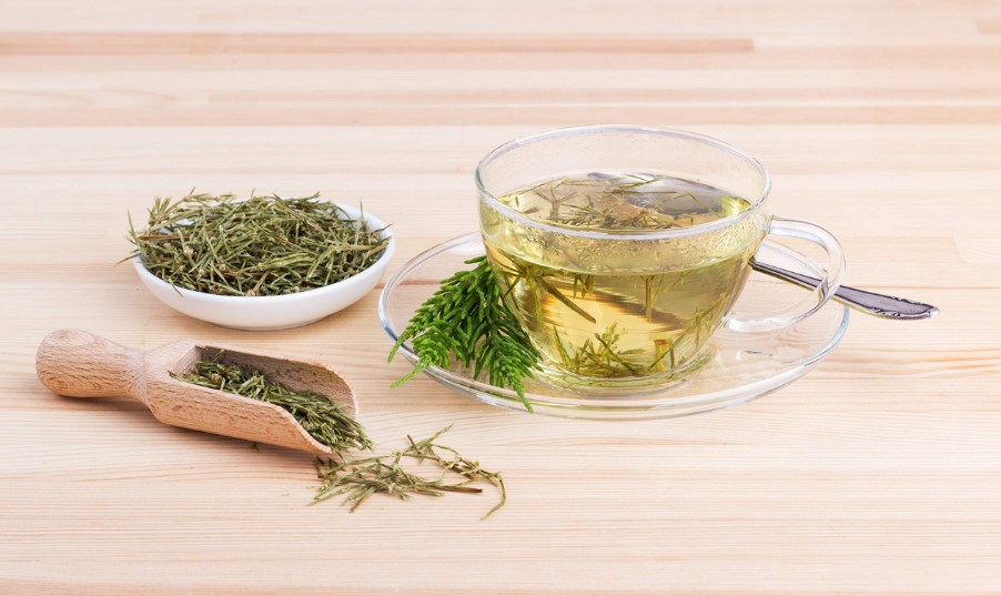 Cỏ đuôi ngựa Horsetail: Lợi ích và lưu ý khi sử dụng