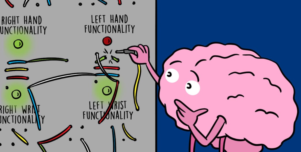 Não của bạn có thể tự chữa lành sau đột quỵ