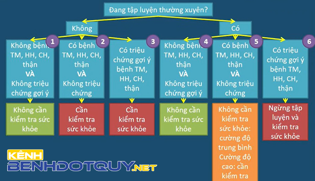 Phân loại người tập luyện