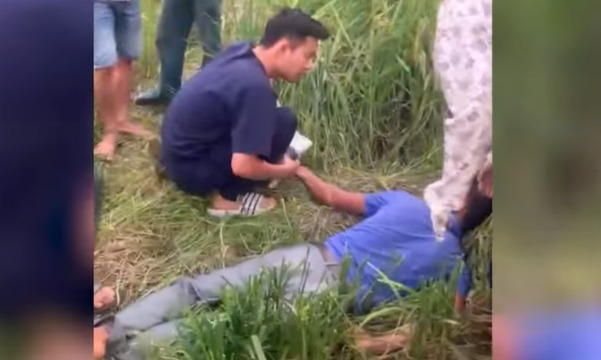 Gặt lúa dưới trời nóng 40 độ C, người đàn ông co giật giữa cánh đồng