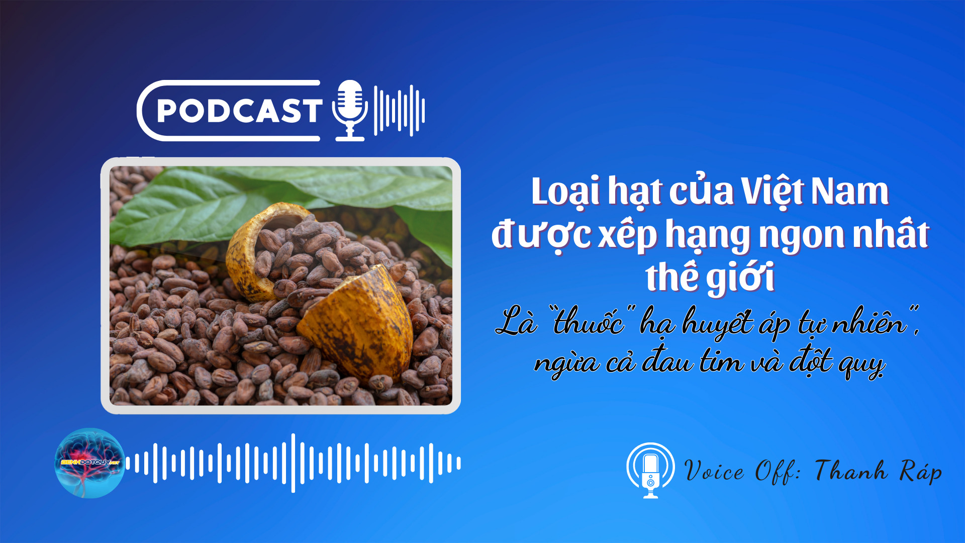 Loại hạt của Việt Nam được xếp hạng ngon nhất thế giới, là “thuốc hạ huyết áp tự nhiên”, ngừa cả đau tim và đột quỵ