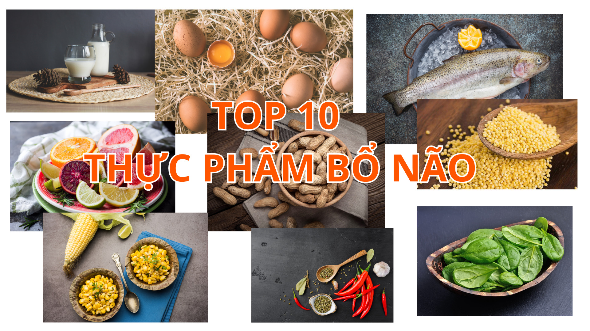TOP 10 thực phẩm tốt cho não bộ